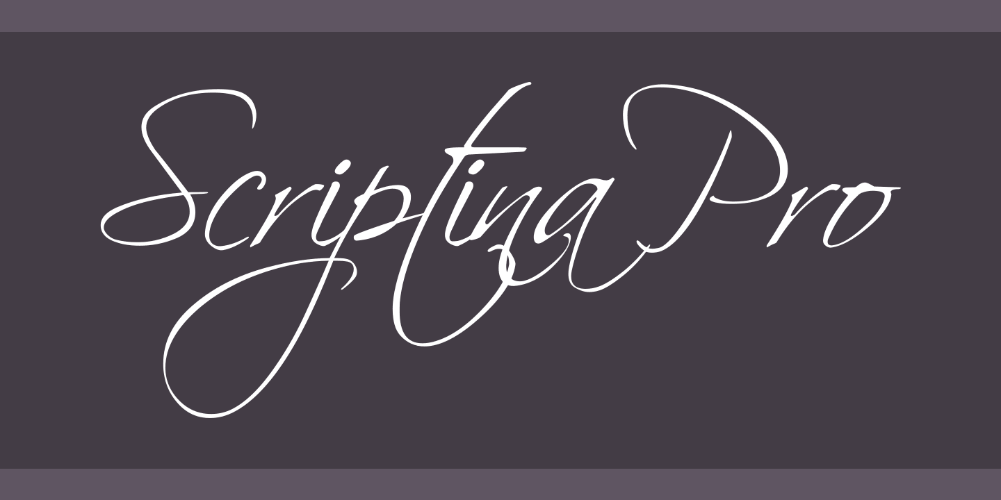 Scriptina Pro Regular Font preview